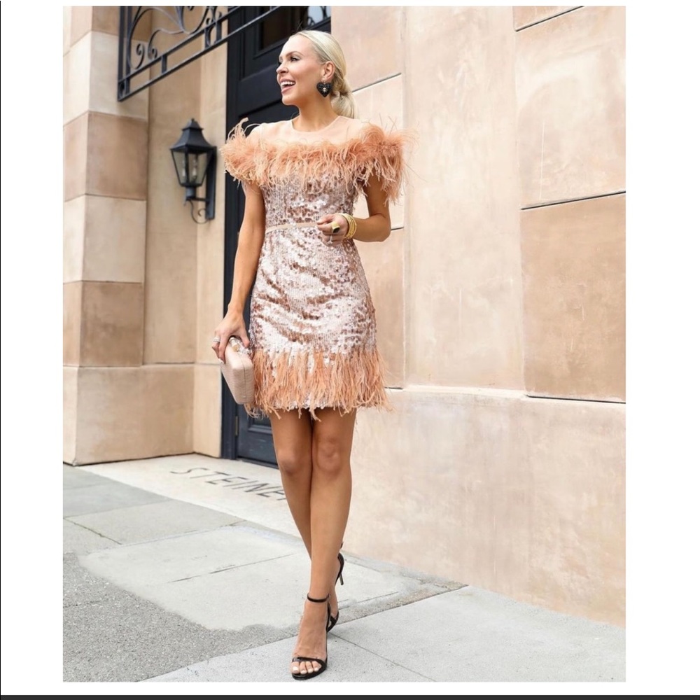 ANTONIO MELANI Peach Feathered Mini Dress